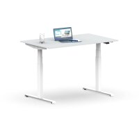 Elektrischer Schreibtisch VES1 - 120 x 100 cm 16mm Tischplatte Lichtgrau ABS Lichtgrau Gestell Weiss Ohne Kabeldurchlass Ohne Kabelkanal