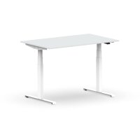 Elektrischer Schreibtisch VES1 - 120 x 100 cm 16mm Tischplatte Lichtgrau ABS Weiss Gestell Weiss Hinten Rechts Mit Kabelkanal